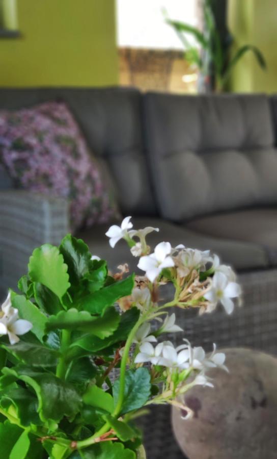 B&B Aquavert Tournai Kültér fotó