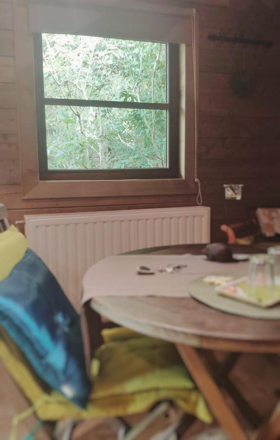 B&B Aquavert Tournai Kültér fotó